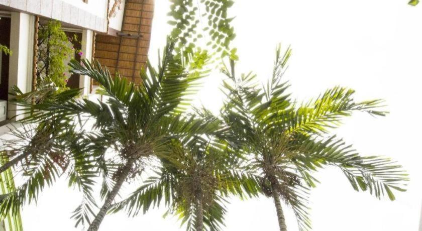 สปริงค์ โฮเต็ล Hotel เกิ่นเทอ ภายนอก รูปภาพ